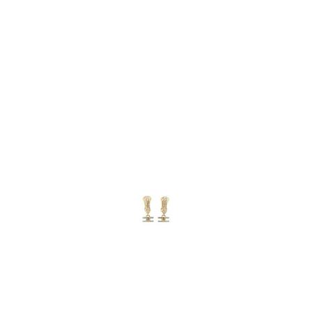 Elisabetta Franchi, Elisabetta Franchi Bijoux Golden Żółty, Kobieta, Rozmiar: ONE Size