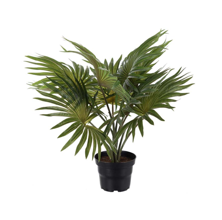 Mr Plant Kunstig Plante Palme