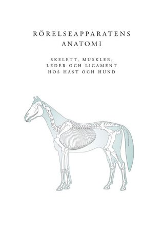 Rörelseapparatens anatomi