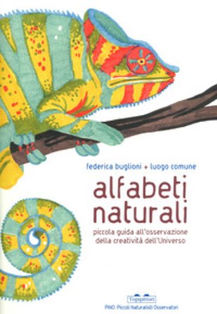 Alfabeti naturali. Piccola guida all'osservazione della creatività dell'universo. Ediz. a colori Federica Buglioni