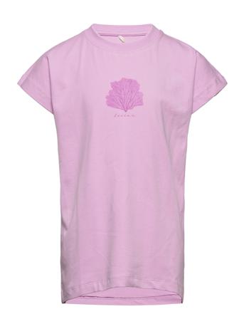 T-Shirt Ss T-shirts Short-sleeved Lila En Fant