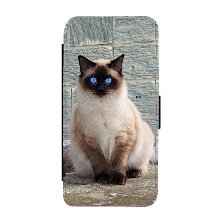 Katt Siames iPhone 12/iPhone 12 Pro Flip Mobilfodral