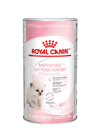 Royal Canin - Babycat Milk 300 g - Katt - Kattefôr & kattemat - ZOO.no