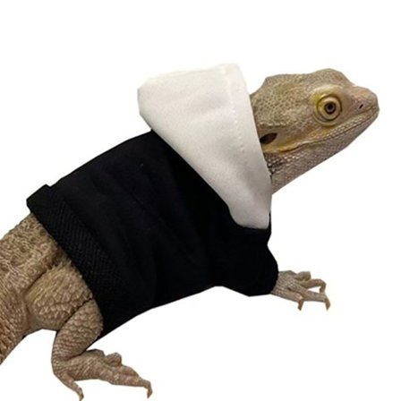 Bearded Dragon Costume Lizards Hættetrøje frakke SORT OG HVID