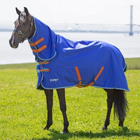 Tempest Original 50 Combo Neck Horse Turnout Rug 5 ́ 3 Royal Blå