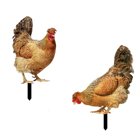 Splinterny Dekorativ Havehøne Havehøne Statue Dekorativ Indretning Have Statue Høne Have Dekoration Statuer Efterår