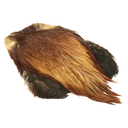 Indisk tuppnacke - Medium Brown