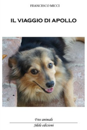 Il viaggio di Apollo Francesco Micci