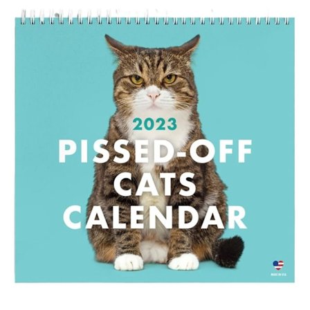 Funny Cat Calendar 2023 Kalenderkonst Månkalender