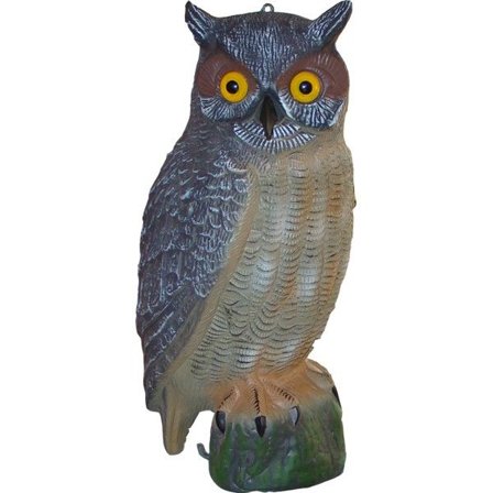 Grey Oak Bulvan Ugle