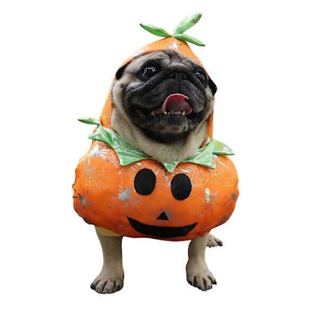 Sjove Halloween Kæledyr Hundekostumer Græskar Cosplay Tøj til Små Mellemstore Hunde Katte Chihuahua Hvalpe Tøj Kæledyrsprodukter