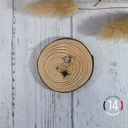 Hängen - MADE IN FRANCE - Silverpläterade - 15. Rose des vents