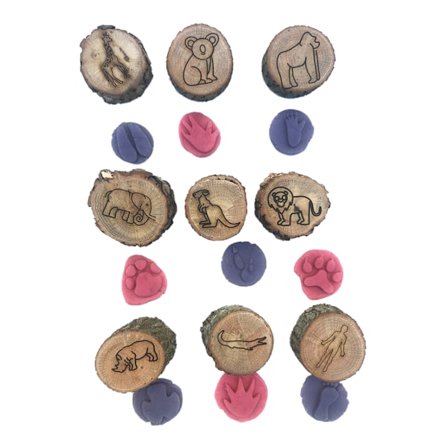 9 Pakke Dyrespor i Tre Playdoh Stempler Dyreavtrykk
