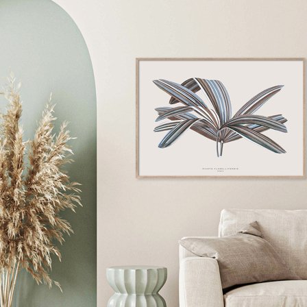 Rhapis Flabelliformis — Plakat med flot illustration af plante fra Nature Remixed by Gehalt