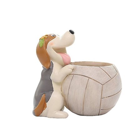 Pennun ja lentopallon muotoinen kukkaruukku, söpö mehikasvien ruukku