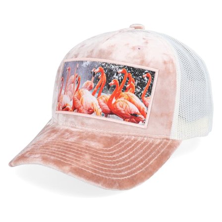 Calza Pennello - Rosa trucker Caps - Flamingo Velvet Peach/Ivory A-frame Trucker @ Hatstore
