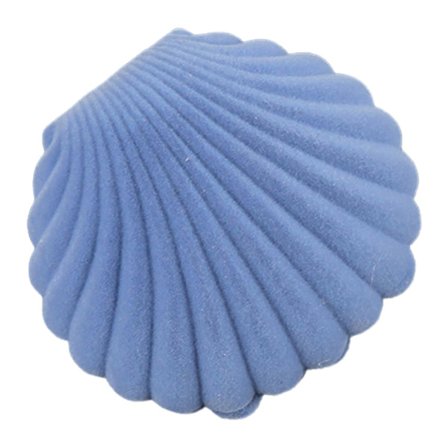 Sød Havskals Øreringe Ring Halskæde Display Opbevaring Organizer Gave Smykkeæske BoSaiD