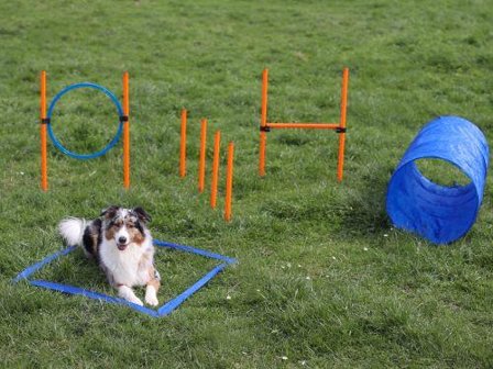 Agility Startersett A20-X