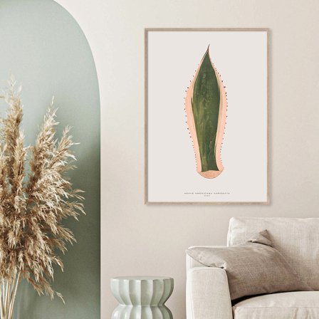 Agave Americana Variecata — Plakat med flot illustration af plante fra Nature Remixed by Gehalt
