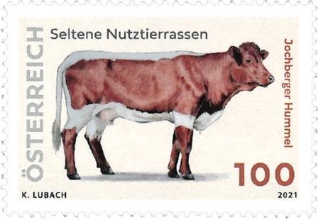 Østrig 2021 - Sjældne husdyr racer Jochberger Hummel - Postfrisk frimærke