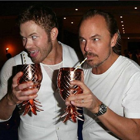 304 Rustfrit Stål Ananas Cocktailglas 500ml