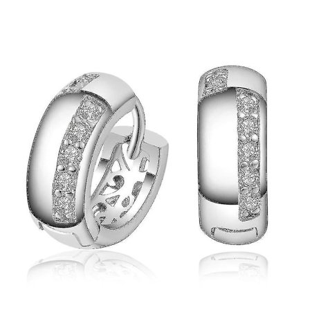 Örhängen Cirkel Aaa Zirkon Örhängen För Fest