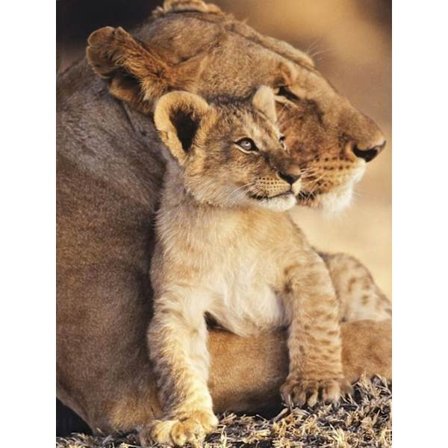 30x40cm 5D DIY Diamantmaleri Fullt, Løve#O Serien, DIY Diamant Rh