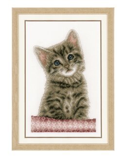 Broderikit Tavla Söt katt