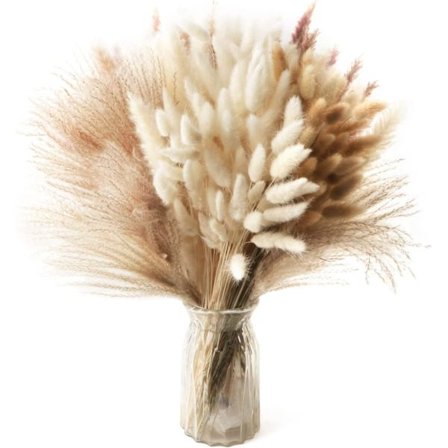 50 Stykker Naturlig Tørket Pampas Dekor Tørkede Blomster Tørket Bukett Pampasgress Dekor Dekorativ Pampasgress Planter