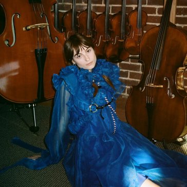 Car therapy sessions (walnut brown vinyl FAYE WEBSTER