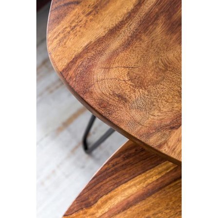 Rootz Design Nesting Bord Sheesham Metal Sidobord Set med 2 Små