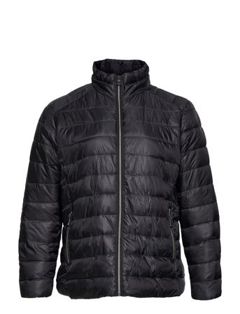 Seller1 Blue Violeta By Mango