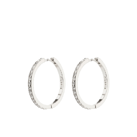 Pilgrim Ebna Earrings Smycken & klockor Dam Silver ONESIZE