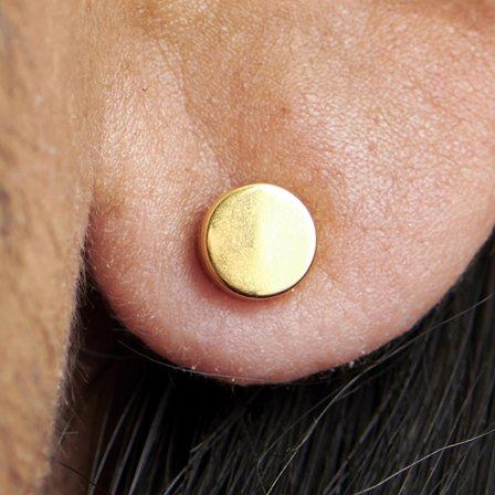 6mm Gold-Tone Stud Earring for Men - Stud earrings
