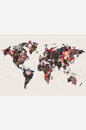 Malerifabrikken - Juliste Worldmap flowers - Beige - Julisteet - - Homeroom