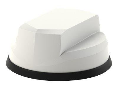 PANORAMA ANTENNAS Great White - antenne, demo