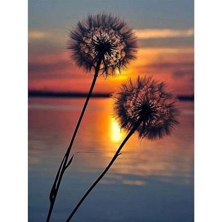 5D Diamantmaleri Kits til Voksne Mælkebøtte Solnedgang DIY Rhinsten