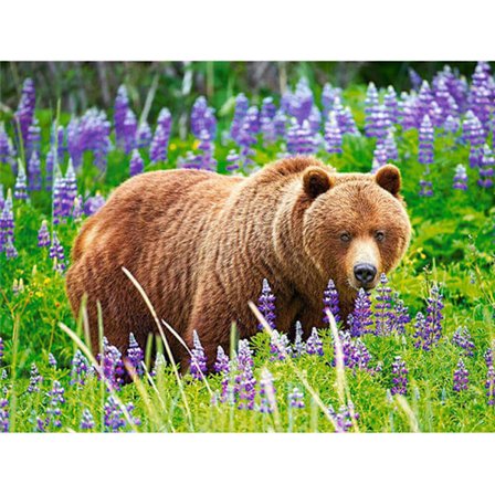 30x40cm 5D DIY diamantmaleri sæt for voksne og børn - Bjørn 3#, fuld
