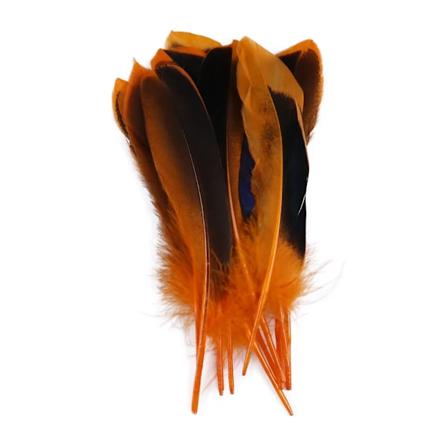 50/100 stk. Vildandfjer til Håndværk Naturlige Fasanfjer Til Fremstilling af DIY Håndværk Tilbehør Bryllup Fest Smykker Gave Dekoration Orange 100 PCS