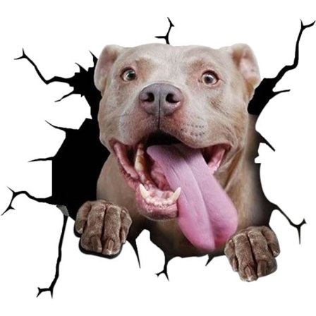 3D Koiran Ikkunatarrat Autoihin Hauska Koiran Tarra Auton Koriste Tarra Autolle Vedenkestävä Auton Halkeilutarra Henkilökohtainen