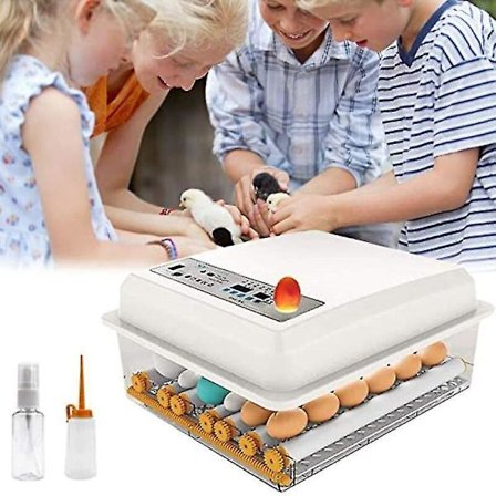 36 Egg Inkubator Fullt Automatisk Rugebrett Klekking