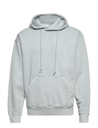 Cl Nd Hoodie Hoodie Grå Reebok Classics