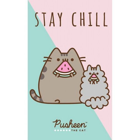 Pusheen Stay Chill handduk & ansiktshandduk 30×50 cm