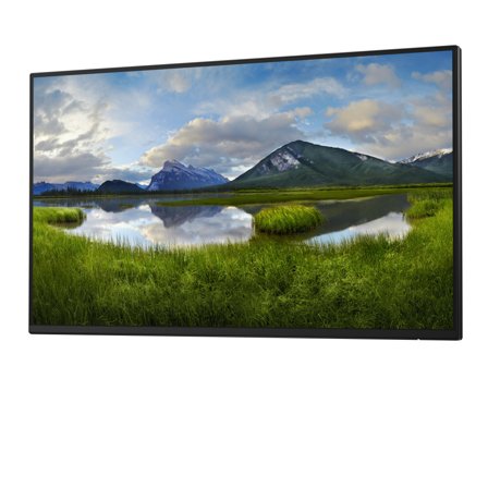 DELL P2425H - uten stativ - LED-skjerm - Full HD (1080p) - 24"