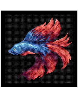 Diamond painting röd/blå fisk