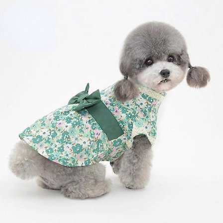 Lemmikkieläinten vaatteet kevät ja kesä lemmikkieläinten hame koiran vaatteet kissan vaatteet