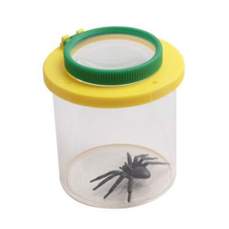 Insektkasse forstørrelsesglas 01 01