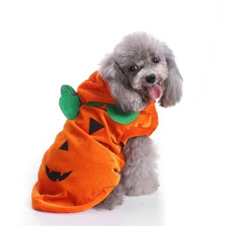 Hund Halloween Græskar Kostume Sjove Hoodies Kæledyr Festival Kostume Tøj Halloween Græskar Hund Tøj M