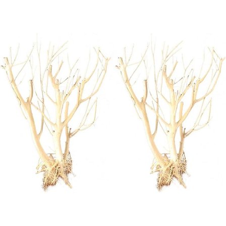 Akvarium Drivtømmer Assorterede Grene Ornament Naturligt Træ Drivtømmer Træ Fisketank Dekoration Kviste Rekvisit til Fisk, Rejer, Akvatiske Dyr 