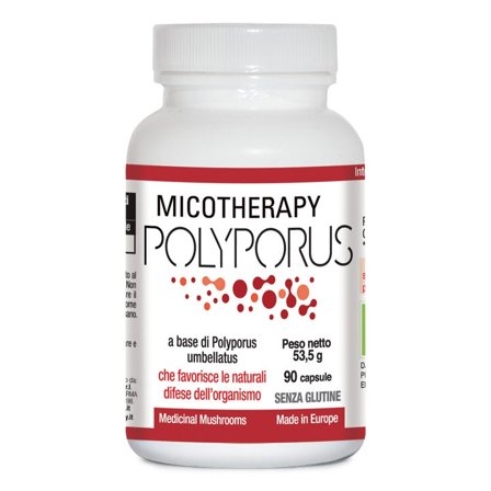 Micotherapy Polyporus 90 Capsule